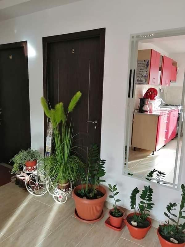 Vila Darian Villa Buşteni Dış mekan fotoğraf
