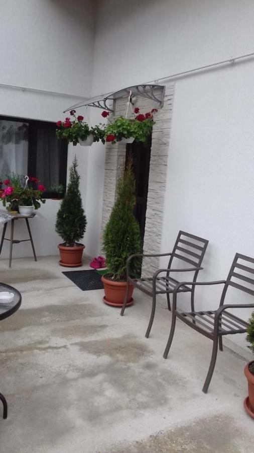 Vila Darian Villa Buşteni Dış mekan fotoğraf
