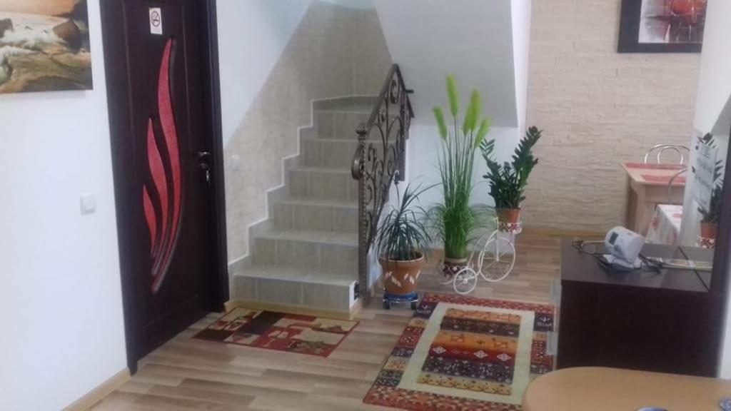 Vila Darian Villa Buşteni Dış mekan fotoğraf