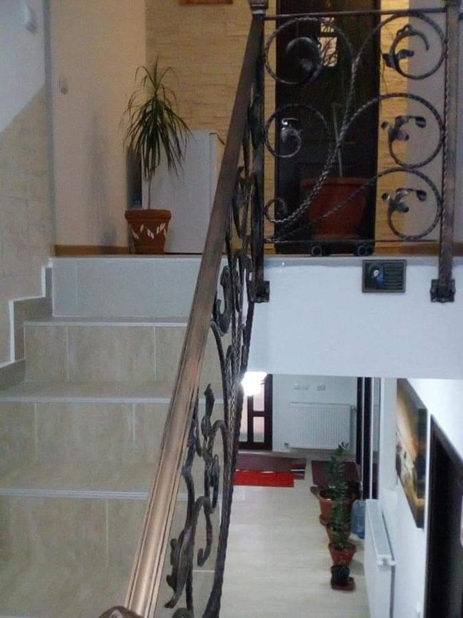 Vila Darian Villa Buşteni Dış mekan fotoğraf