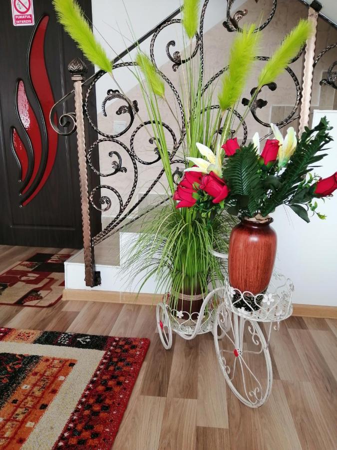 Vila Darian Villa Buşteni Dış mekan fotoğraf